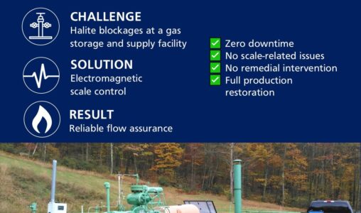 First utility sector project delivers transformational results in the US